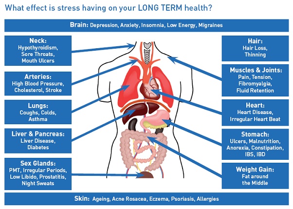 Affects of Stress on Long Term Health